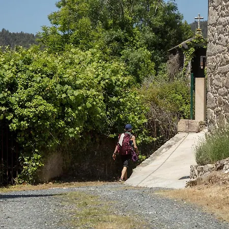 Landras De Compostela-2